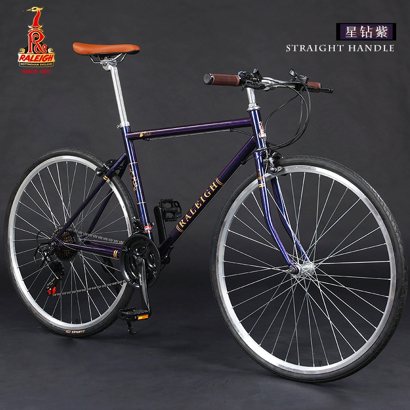 21-speed-purple-diamond-purple-straight-handlebar